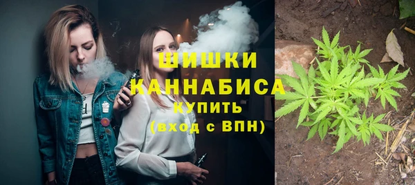 ГАЛЛЮЦИНОГЕННЫЕ ГРИБЫ Бородино