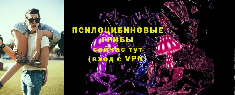 Псилоцибиновые грибы Magic Shrooms Куса